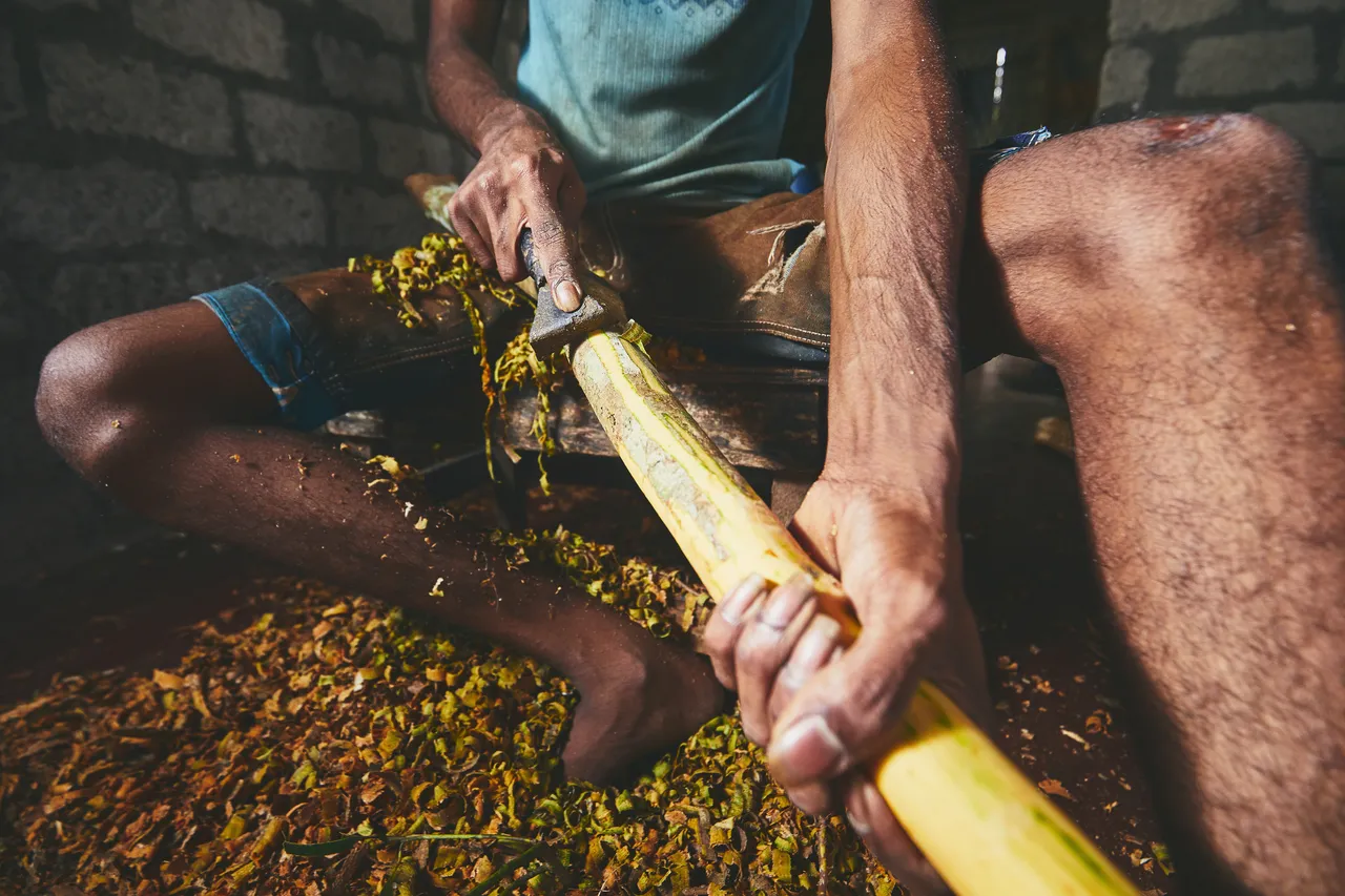 Artesano trabajando una caña de madera con una herramienta