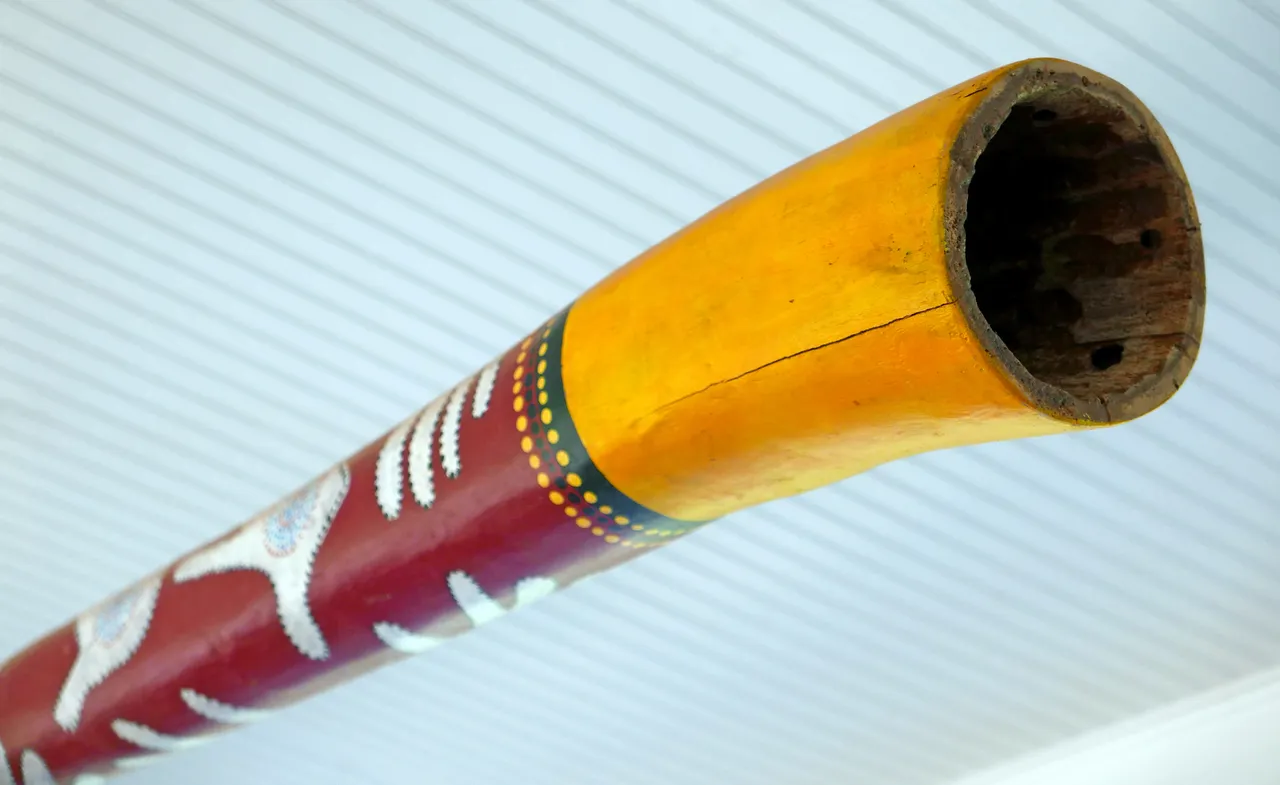 Extremo de un didgeridoo de madera pintado que muestra el interior hueco